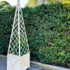 Iron Pyramid Planter Cage - Image 4