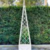 Iron Pyramid Planter Cage - Image 2
