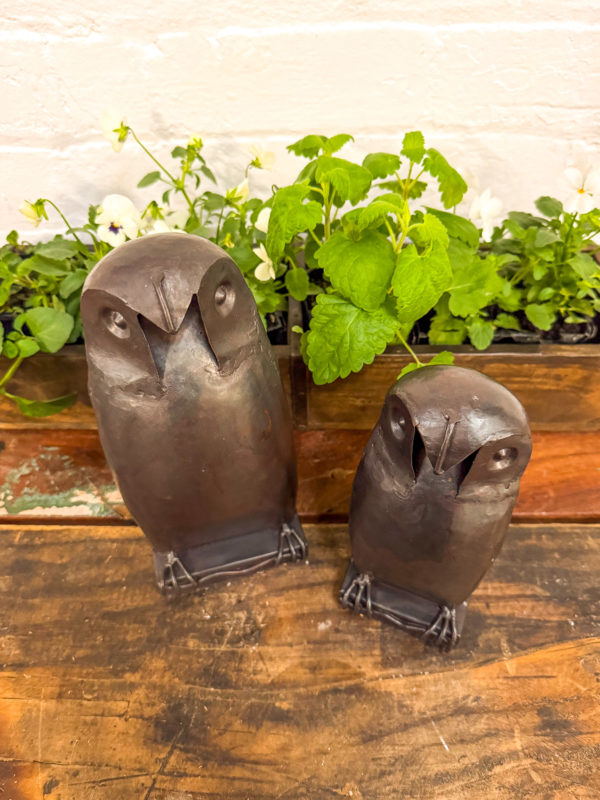 Set 2 Wise Iron Owls