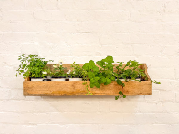 Wooden Book/Display Shelf - Image 4